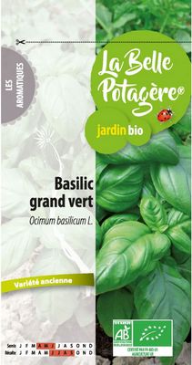 Basilic grand vert BIO - La Belle Potagère