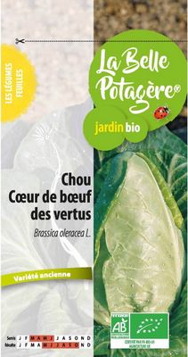 Chou coeur de boeuf des vertus BIO - La Belle Potagère