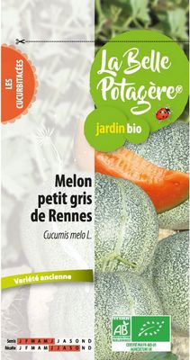 Melon Petit Gris de rennes BIO - La Belle Potagère