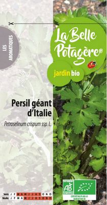 Persil Géant d'Italie BIO - La Belle Potagère