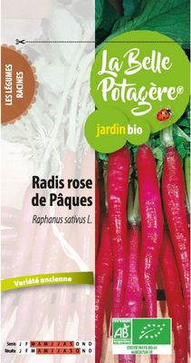 Radis rose de Pâques BIO - La Belle Potagère