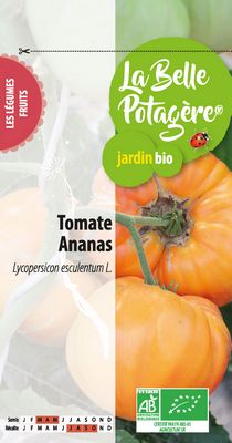 Tomate Ananas BIO - La Belle Potagère