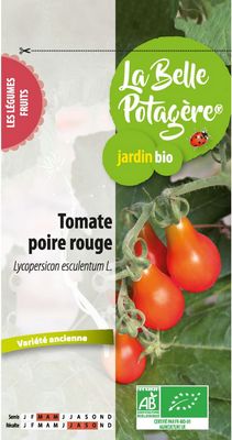 Tomate cerise poire rouge BIO - La Belle Potagère