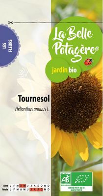 Tournesol BIO - La Belle Potagère